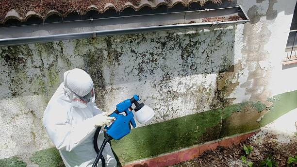 Top rated local Commercial Mold Remediation specialists in Stevens, PA